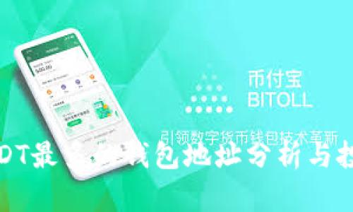存量USDT最多的钱包地址分析与投资策略