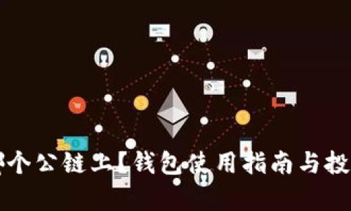 狗狗币在哪个公链上?钱包使用指南与投资风险分析