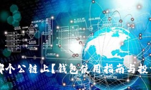 狗狗币在哪个公链上?钱包使用指南与投资风险分析
