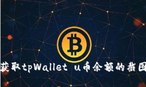 如何获取tpWallet u币余额的截图教程