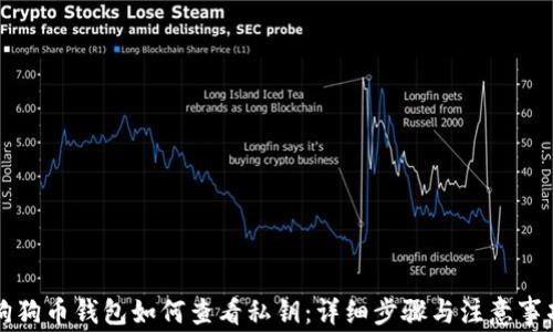 狗狗币钱包如何查看私钥:详细步骤与注意事项