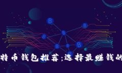 ### 比特币钱包推荐：选择