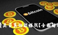 tpWallet租赁是否真的能赚钱