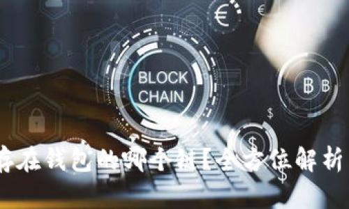 USDT应该存在钱包的哪个链？全方位解析与选择指南