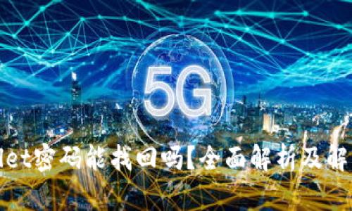 tpWallet密码能找回吗？全面解析及解决方案