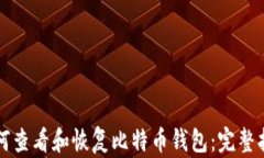 如何查看和恢复比特币钱