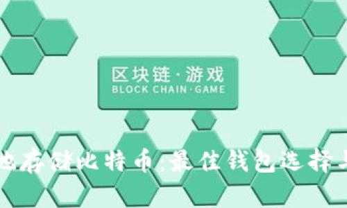 如何安全地存储比特币：最佳钱包选择与使用指南
