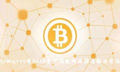 tpWallet中SHIB资产消失的原
