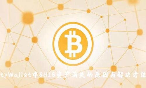tpWallet中SHIB资产消失的原因与解决方法