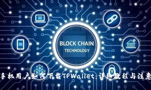 安卓手机用户如何下载TPWallet：详细教程与注意事项