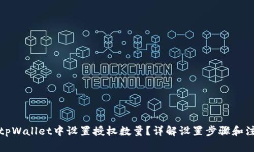 如何在tpWallet中设置授权数量？详解设置步骤和注意事项