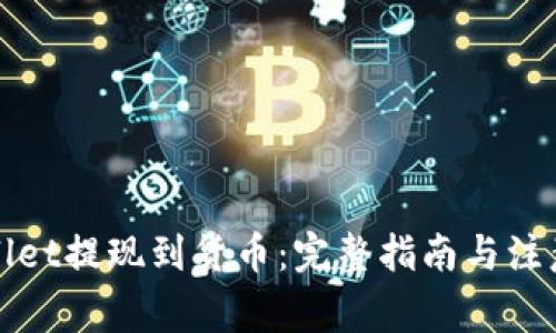 tpWallet提现到货币：完整指南与注意事项