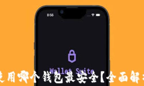 
屎币使用哪个钱包最安全？全面解析推荐