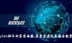  tpWallet柚子的真实面貌：