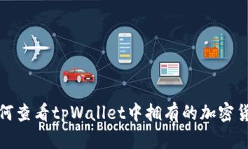  如何查看tpWallet中拥有的加密货币？