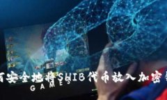 如何安全地将SHIB代币放入