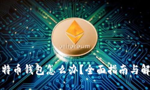 ```xml
丢失比特币钱包怎么办？全面指南与解决方案