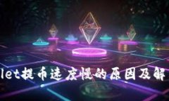 tpWallet提币速度慢的原因及