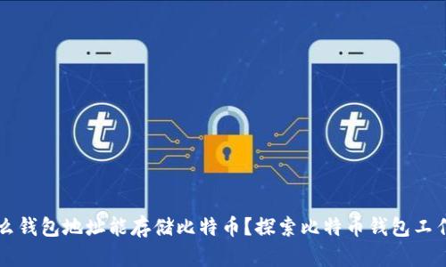 为什么钱包地址能存储比特币？探索比特币钱包工作原理