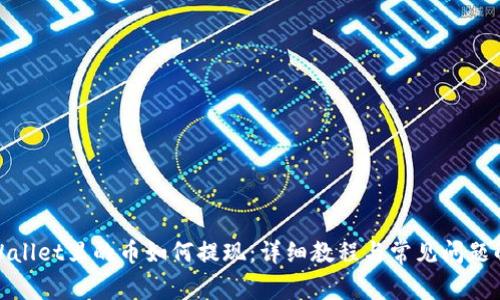tpWallet里的币如何提现：详细教程与常见问题解答