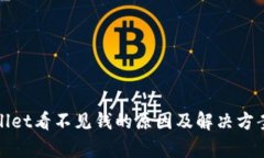 tpWallet看不见钱的原因及解