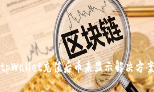 tpWallet充值后币未显示解决方案