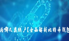 比特币钱包分为哪几类账
