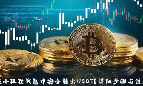 
如何在小狐狸钱包中安全转出USDT？详细步骤与注意事项