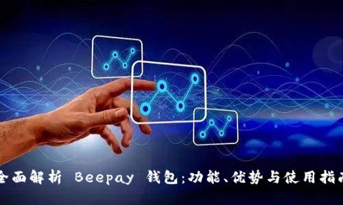 全面解析 Beepay 钱包：功能、优势与使用指南