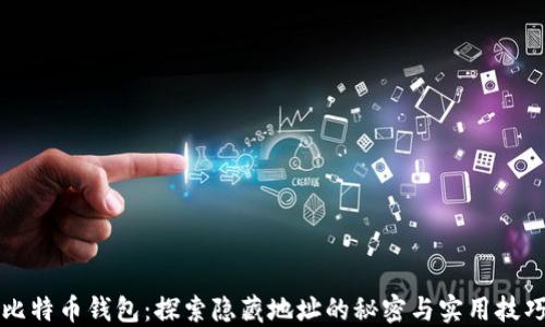
比特币钱包：探索隐藏地址的秘密与实用技巧