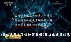 tpWallet密码忘了该如何找回