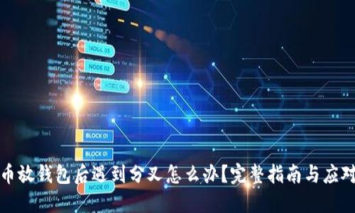 比特币放钱包后遇到分叉怎么办？完整指南与应对策略