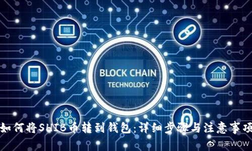 如何将SHIB币转到钱包：详细步骤与注意事项