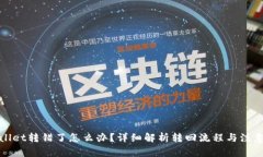 tpWallet转错了怎么办？详细