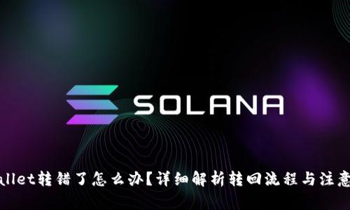 tpWallet转错了怎么办？详细解析转回流程与注意事项