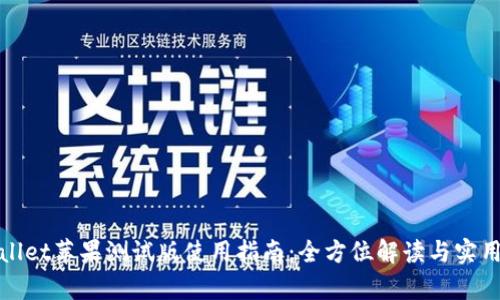 tpWallet苹果测试版使用指南：全方位解读与实用技巧
