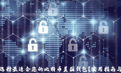 
如何选择最适合您的比特币美国钱包？实用指南与推荐