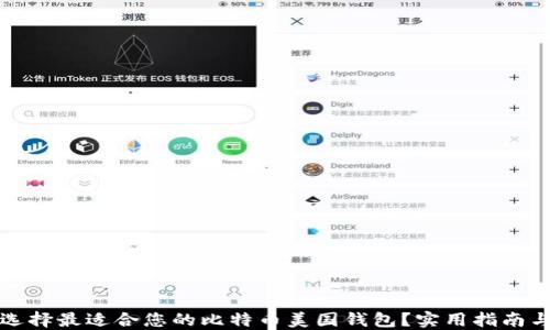 
如何选择最适合您的比特币美国钱包？实用指南与推荐