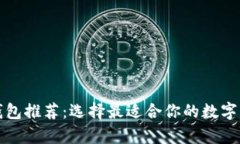 泰达币钱包推荐：选择最