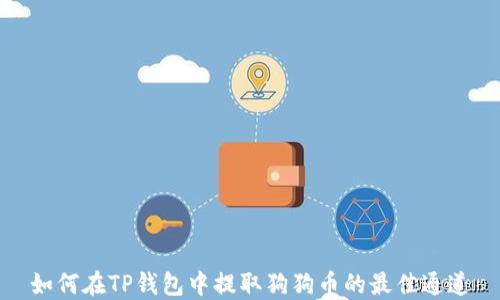 
如何在TP钱包中提取狗狗币的最佳通道