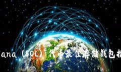 Solana (SOL) 代币最佳存储钱