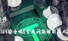 及关键词tpWallet安全吗？常
