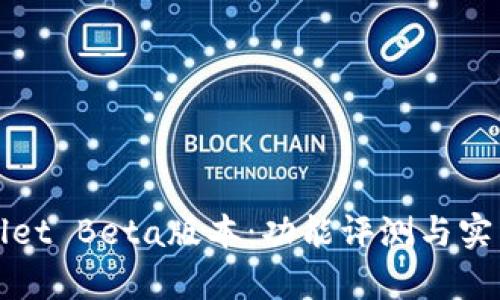 tpWallet Beta版本：功能评测与实用技巧