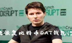 如何有效恢复比特币DAT钱