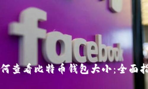 如何查看比特币钱包大小：全面指南