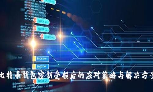 比特币钱包密钥受损后的应对策略与解决方案