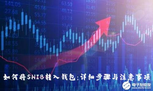 如何将SHIB转入钱包：详细步骤与注意事项