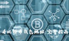 如何查看比特币钱包地址：完整指南与技巧