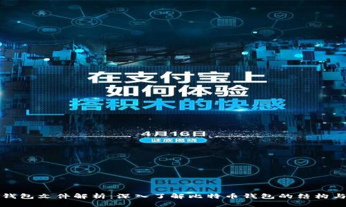 比特币钱包文件解析：深入了解比特币钱包的结构与安全性