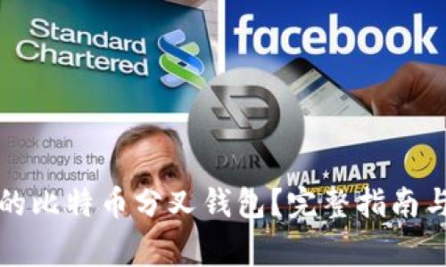 如何选择合适的比特币分叉钱包？完整指南与常见问题解答